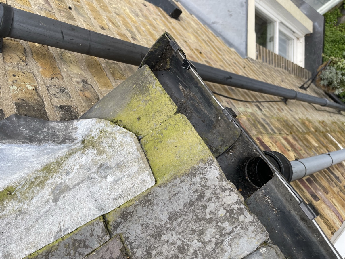 Gutter Bug Before & After Gallery | Gutterbugs