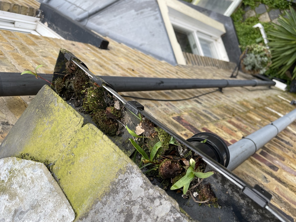 Gutter Bug Before & After Gallery | Gutterbugs